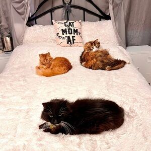 Meet your Posher, Marieann